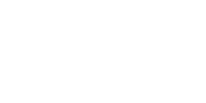 newera white