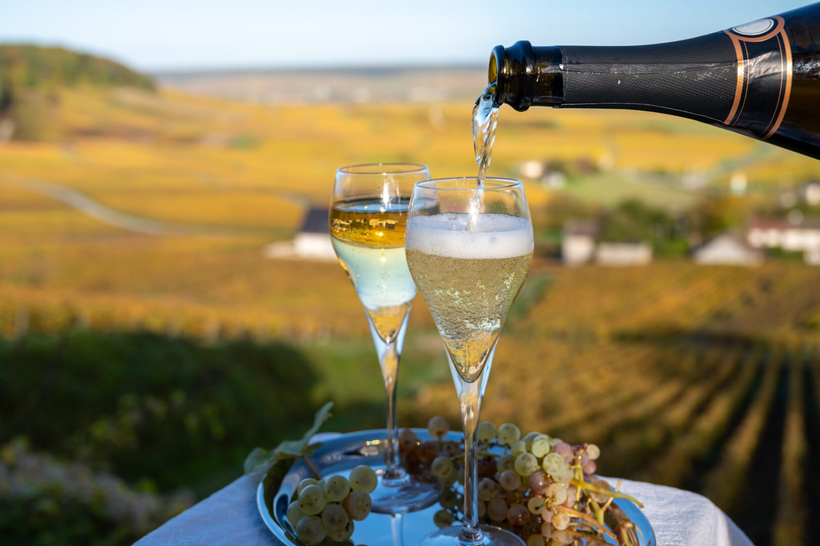 tasting of french sparkling white wine with bubbles champagne on outdoor terrace with view on colorful grand cru champagne vineyards in cramant in october, near epernay, france